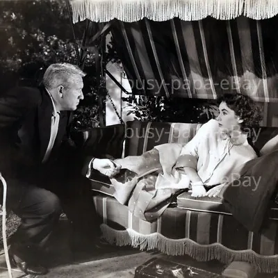 1951 Father's Little Dividend Elizabeth Taylor Spencer Tracy Bennett Photo #4 • $33.25