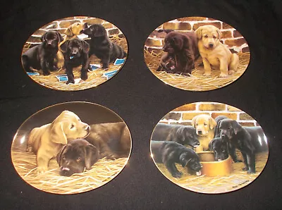 £20 • Buy Nigel Hemming Franklin Mint Dog Oval Labrador Plates - Select Plate
