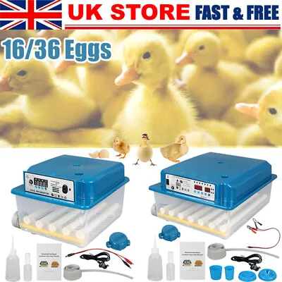 16/36x Egg Digital Incubator Hatcher Temperature Control Fully Automatic Turning • £44.18