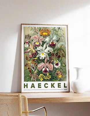 Ernst Haeckel - Orchidae | Botanical Poster | Vintage Print | Flowers Wall Art | • $220