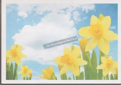 The Great Daffodil Appeal Marie Curie Advertising Postcard • £3.49