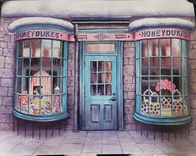 £9.99 • Buy New Harry Potter Wizarding World Honeydukes Watercolour Art Print On Canvas