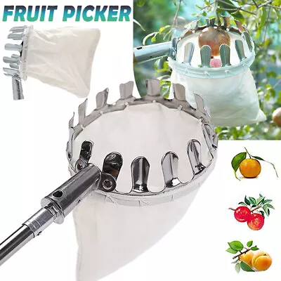 UK Apple & Fruit Nut Picker Fruit Picking Basket Garden Patio Hand Tools • £4.88