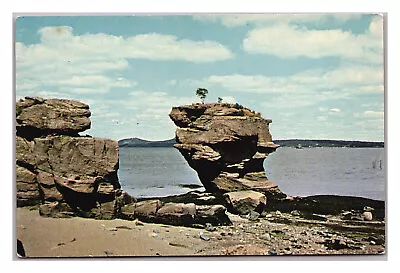 Postcard ME Pulpit Rock Stone Scenic Nature Water View Robbinston Maine  • $7.95