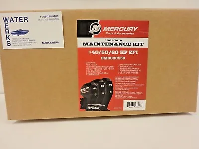$209.08 • Buy Mercury 300 Hour Maintenance Kit 40 / 50 / 60 HP EFI 4-Stroke BF CT 8M0090559