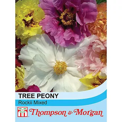 Tree Peony Seeds Shrubs Garden Plants Hardy 'Rockii Mixed' 1 Packet 5 Seeds T&M • £2.99