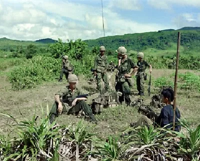 U.S. Infantry With Captured North Viet Cong POW 8x10 Vietnam War Photo 671 • $7.43