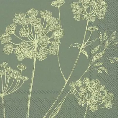 Hanife Green Cow Parsley Floral IHR Paper Lunch Napkins 3 Ply 33 Cm Sq • £5.34