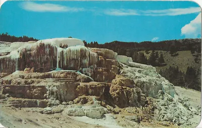 $2.03 • Buy Colorado TERRACES AT MAMMOTH HOT SPRINGS IN YELLOWSTONE NATIONAL PARK Postcard