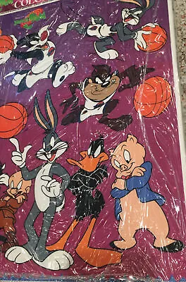 1996 Space Jam Looney Tunes Color Window Clings 12 Pack Window Decoration Sealed • $18.75