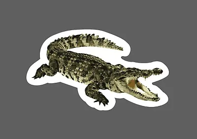 Alligator Sticker Attack Waterproof - Buy Any 4 For $1.75 Each Storewide! • $2.95