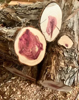 Two (2) Wood Turning Blanks - Eastern Red Cedar/Aromatic Cedar - Various Sizes • $275