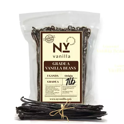 Organic Bourbon Fresh Vanilla Beans Grade A [6-8 Inches] 1 Pound - Free Shipping • $90.99