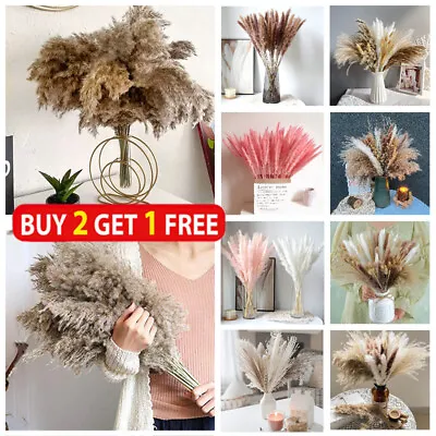 12-84x Pampas Grass Natural Dried Flowers For Vase Feather Bouquet Home Decor UK • £5.99