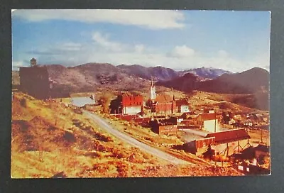 Birdseye View Virginia City NV Unposted Chrome Postcard • $3