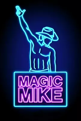 Magic Mike (DVD 2012 Widescreen Channing Tatum) ***DVD DISC ONLY*** NO CASE • $2.25