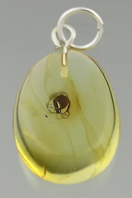 Fossil Insect BEETLE Genuine BALTIC AMBER Silver Pendant 1.1g 201111-12 • $31.49