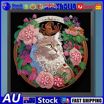 $10.12 • Buy 5D DIY Partial Special Shaped Drill Diamond Painting Kit Cat Home Decor(YXC689)