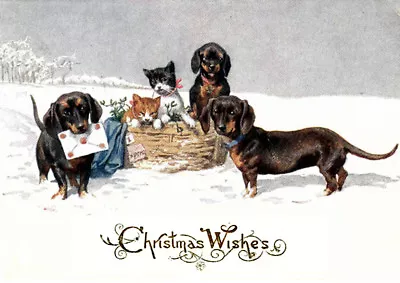 Dachshund And Kitten In Snow Single Dog Print Greeting Christmas Card • $3.11