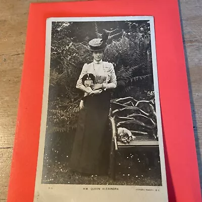 H.M. Queen Alexandra. ( With Dogs.) Postcard Posted 1905. Rotary Photo Series. • £2.99