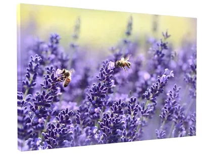 Lavender Flowers Canvas Picture Print Wall Art Deep Frame  • £37.77