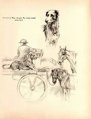 1933 Lovely Vintage Dog Print Original Pen & Pencil Sketch By K.F. Barker • £8.75
