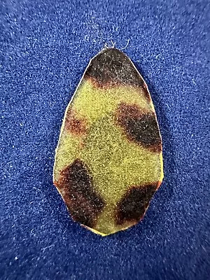 Vintage 1960's Tortoise Celluloid Large Elongated Teardrop Guitar Pick • $4.99