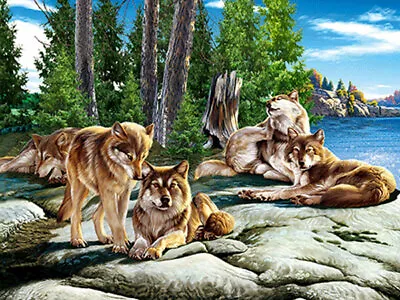 WOLF FAMILY ON ROCKS - 3D WOLF PICTURE 400mm X 300mm (NEW) • £7.95