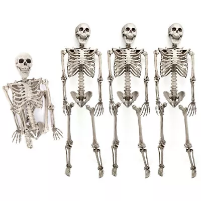 4Pcs 90cm/3ft Halloween Human Skeleton Skulls Poseable Life Size Bone Party Dec • $96.99