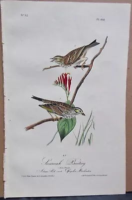 Savannah Bunting Audubon 1st Edition 1840 Hand Colored  Litho J.t.bowen Info Pg. • $89.95