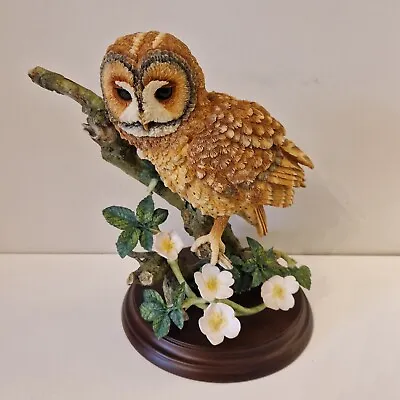 Country Artists Tawny Owl With Dog Rose 01583 David Ivey • £24.99