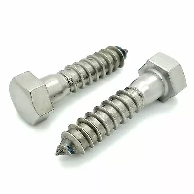 10 Qty 1/2  X 2  304 Stainless Steel Hex Lag Bolt Screws (BCP1143) • $22.75