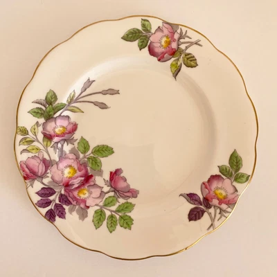 $24 • Buy Bone China ROYAL ALBERT England Flower Of The Month No 6 DOG ROSE Salad Plate 8“
