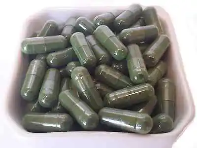 Marine Phytoplankton Powder CAPSULES Nannochloropsis Gaditana Oceans AliveEPADHA • $49.95