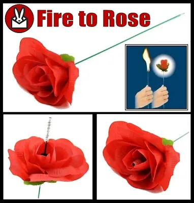 Flaming Fire Torch To Red Rose Flower Burn Flame Magic Trick Light Street Change • $6.30