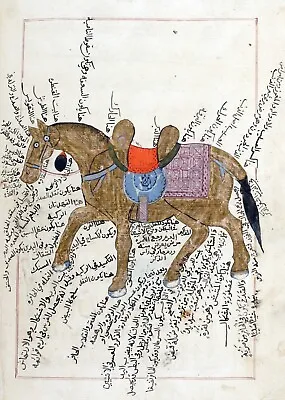 12897.Decor Poster.Wall Art.Home Vintage Interior Design.1670 Arab Horse Sketch • $45