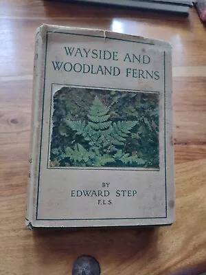 1947 WAYSIDE AND WOODLAND FERNS Edward Step HORSETAILS Club-Mosses HB D/J • £10
