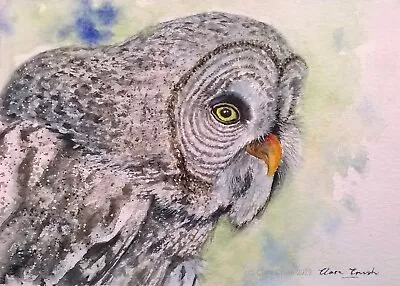 ORIGINAL Signed Watercolour Painting OWL Bird Barn Wildlife Gift Art Clare Crush • £21.99