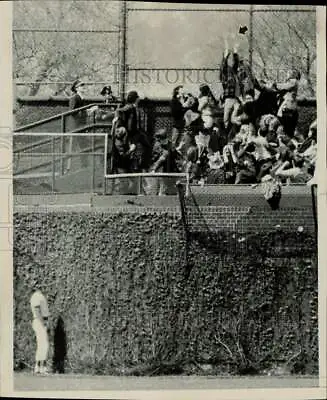 1973 Press Photo Chicago Cub Billy Williams Watches Home Run At Wrigley Field • $16.99