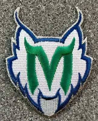 1999-2017 Minnesota Lynx Wnba Basketball Vintage 3  Alternate Logo Team Patch • $6.95