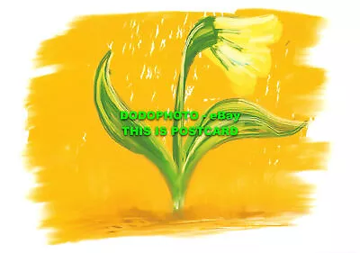 L132717 This Image Is From The Carers Field Of Daffodils. Marie Curie • £5.75