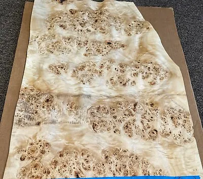 Mappa Burl Wood Veneer 20  X 27  Raw With No Backing 1/42  Thickness A Grade • $95