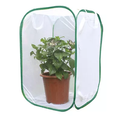$17.45 • Buy Collapsible Insect And Butterfly Habitat Feeding Cage Terrarium Mesh Cage
