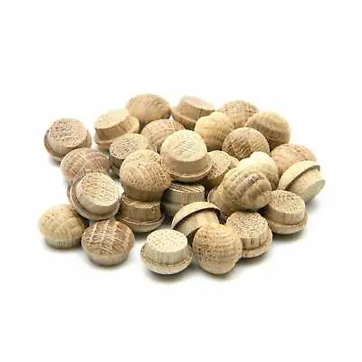 Oak Mushroom Plug 1/2'' - Pack Of 50 • £13.95