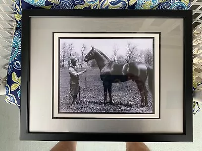 A Beautiful Framed  Photo Print Of The Great    Man O War  • $35