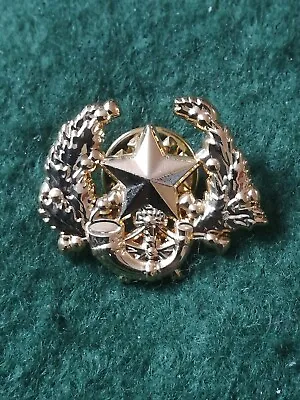 Cameronians (Scottish Rifles) Regiment Pin Badge Gold Colour. • £4