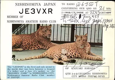 QSL JE3VXR 1979 Nishinomiya Hyogo Japan Kazuaki Harada • $4.03