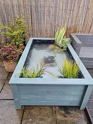 Raised Garden Pond W/Seat Top Rectangular Water Feature 160x100x54cm ReadyToUse • £439