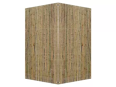 2 Panel Wooden Frame Foldable Partition Room Divider Privacy Bamboo Screen • $100