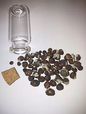 10mL Cork Glass Bottle W/ Garnets For Gridding/crystal Healing • $15